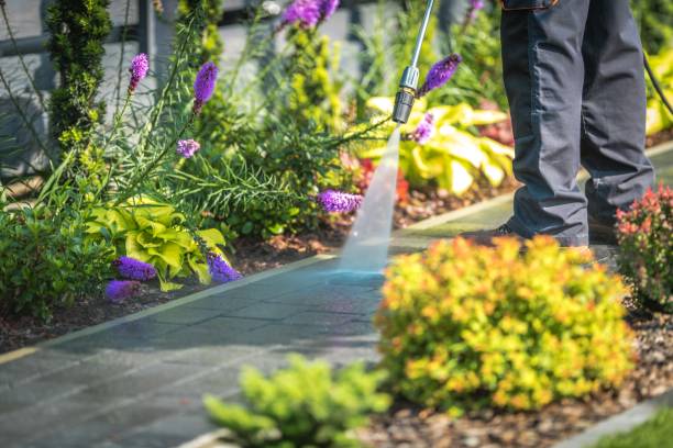 Best Patio and Deck Pressure Washing  in Forest Glen, MD