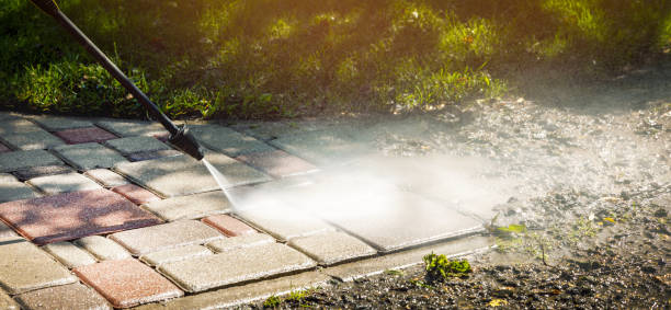 Best Driveway Pressure Washing  in Forest Glen, MD